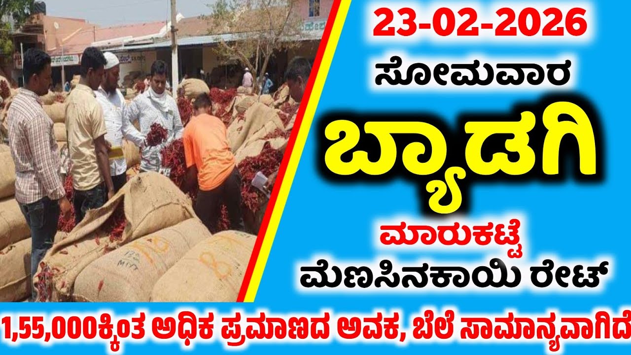 23-02-2026  Monday Byadgi Market Mirchi Rate | chilli Rates  Byadgi Market chilli Rate #Byadgimarket