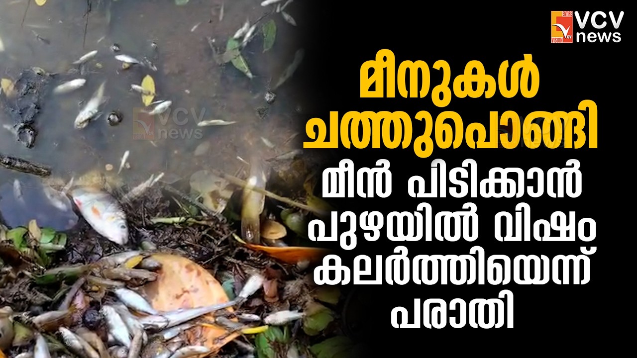 വടക്കാഞ്ചേരി എങ്കക്കാട് വാഴാനിപ്പുഴയിൽ മീനുകൾ ചത്തുപൊങ്ങി