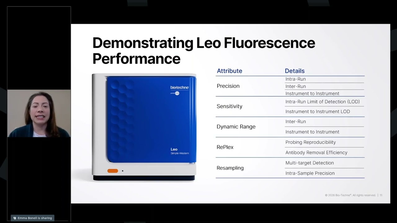 Advancing Protein Analysis with High-Throughput Multiplexed Fluorescence Westerns