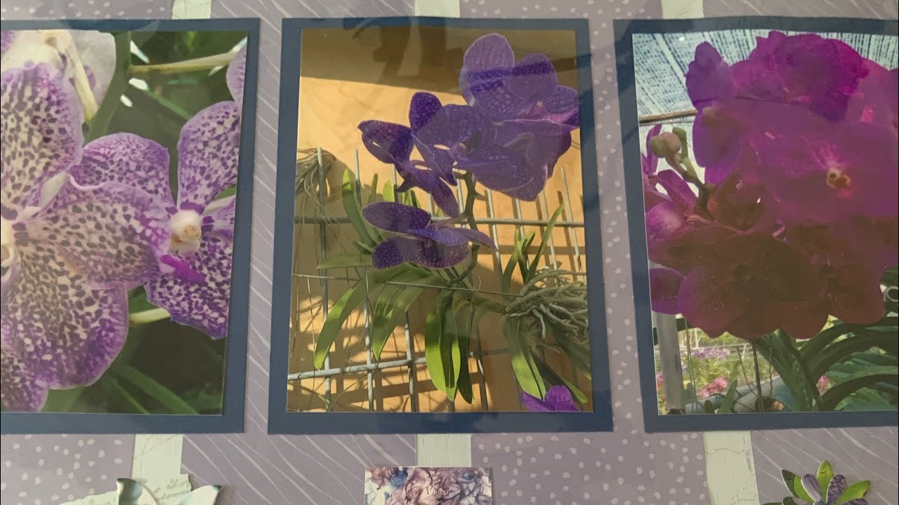 ✨ Schnelles & Einfaches Foto-Layout mit Creativ-ID-Produkten ✨