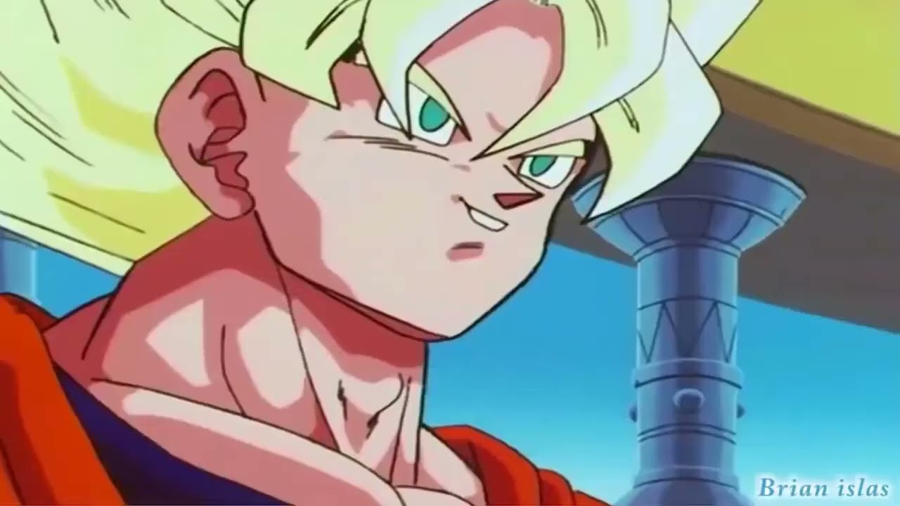Dj Franja - Goku