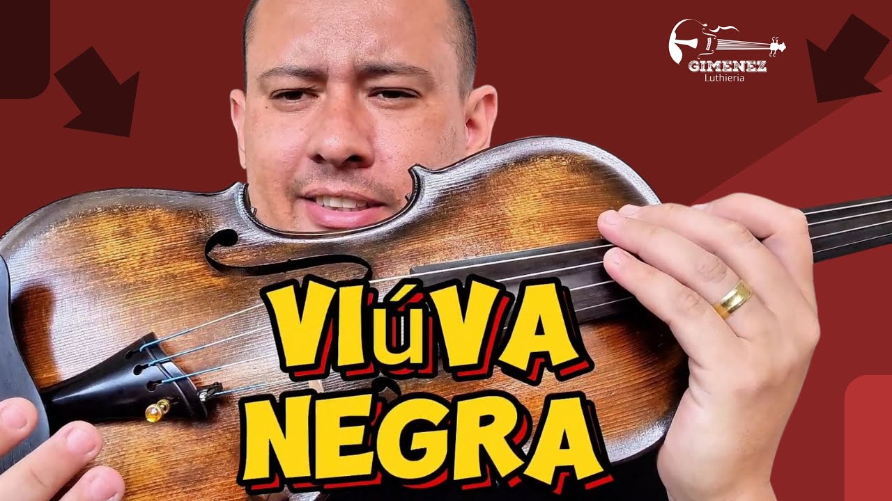 APRESENTAÇÃO.  Violino a venda.