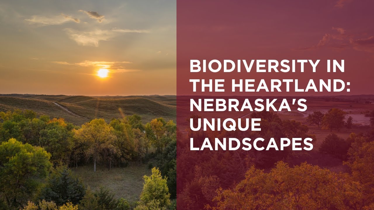 Biodiversity in the Heartland: Nebraska's Unique Landscapes