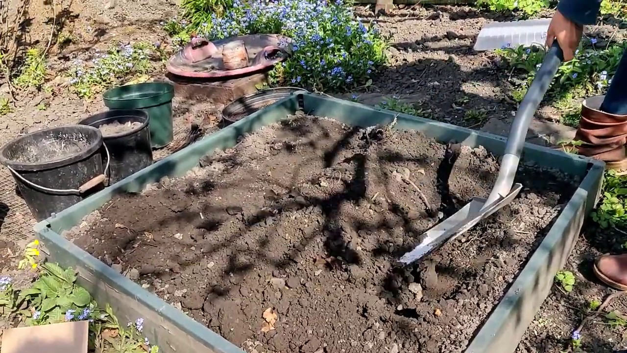 Planting and Setting up an Asparagus Bed | UK Gardening | How to