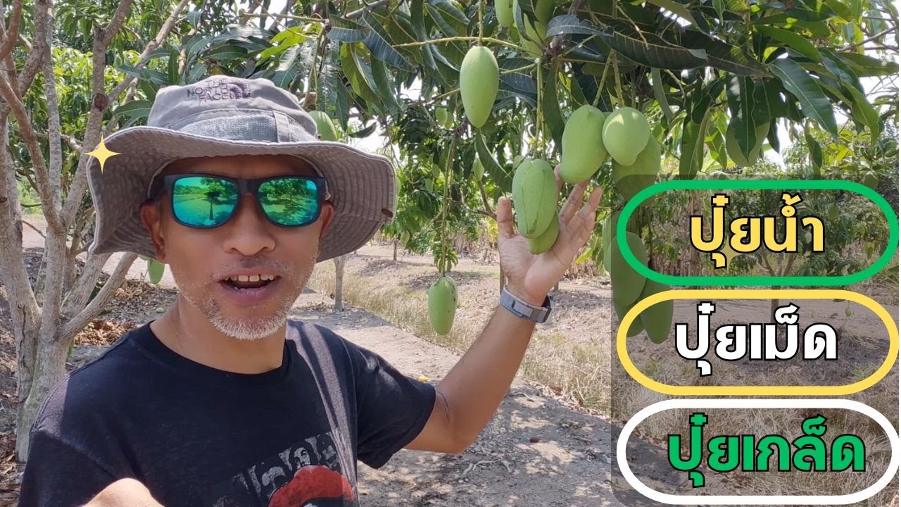 ปุ๋ยและธาตุอาหารพืช เรื่องควรรู้  ซื้อมาใช้ จะซื้อมาขาย ต้องรู้ เรื่องอะไรบ้าง