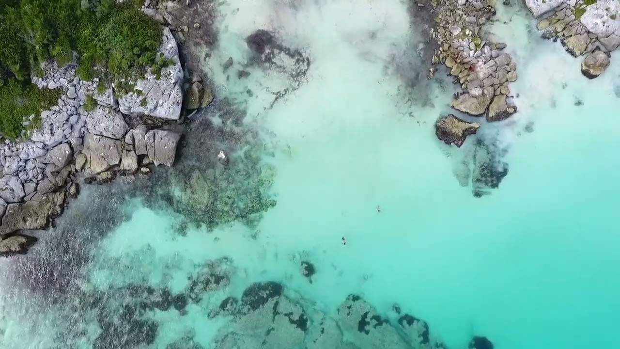 Aerial shot of people swimming in the bright blue ocean