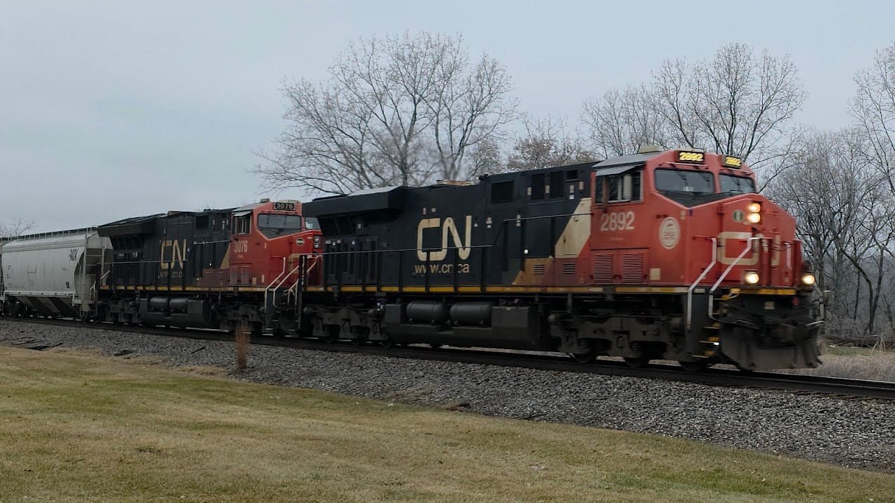 CN   M   302