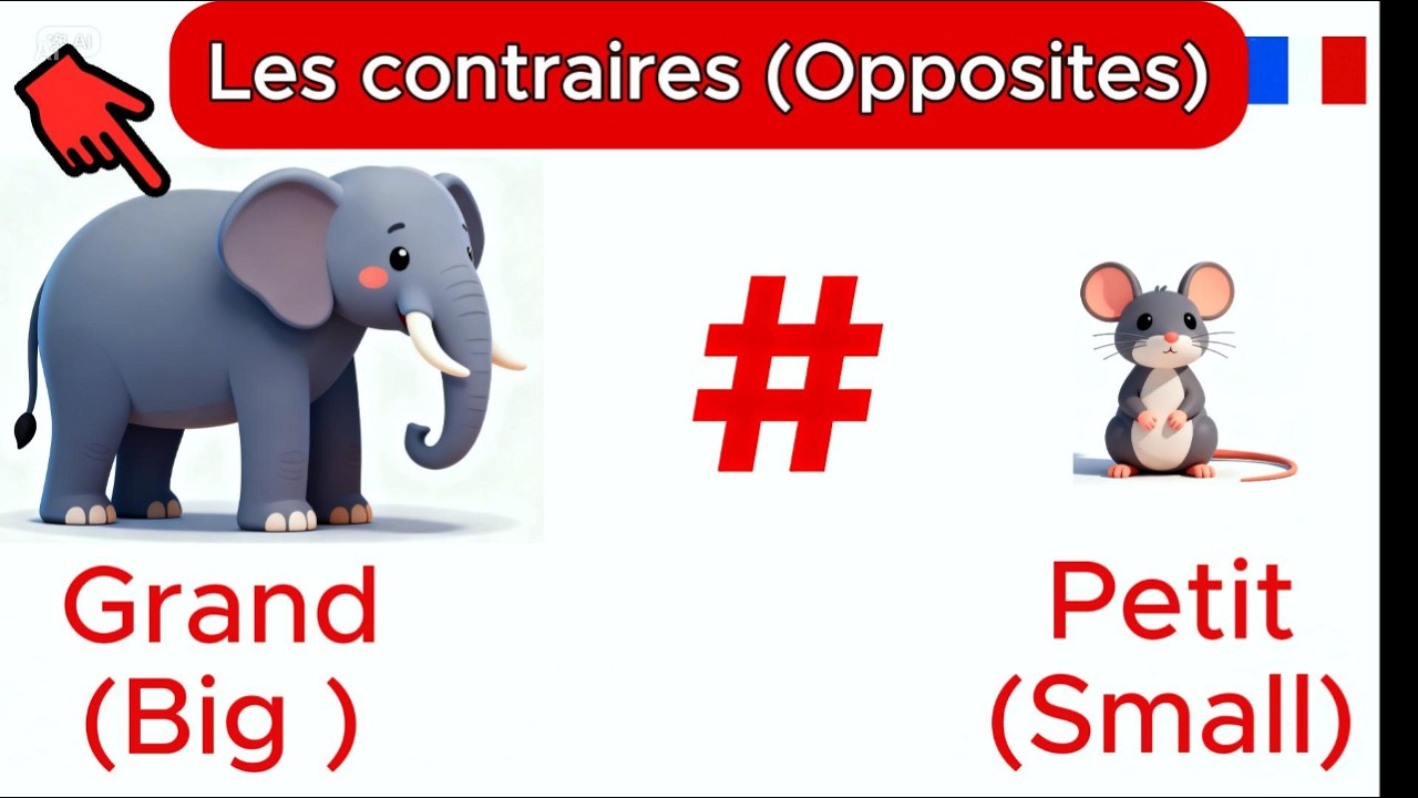 20 Contraires en Français | Opposites in French | Apprendre le Français Facilement