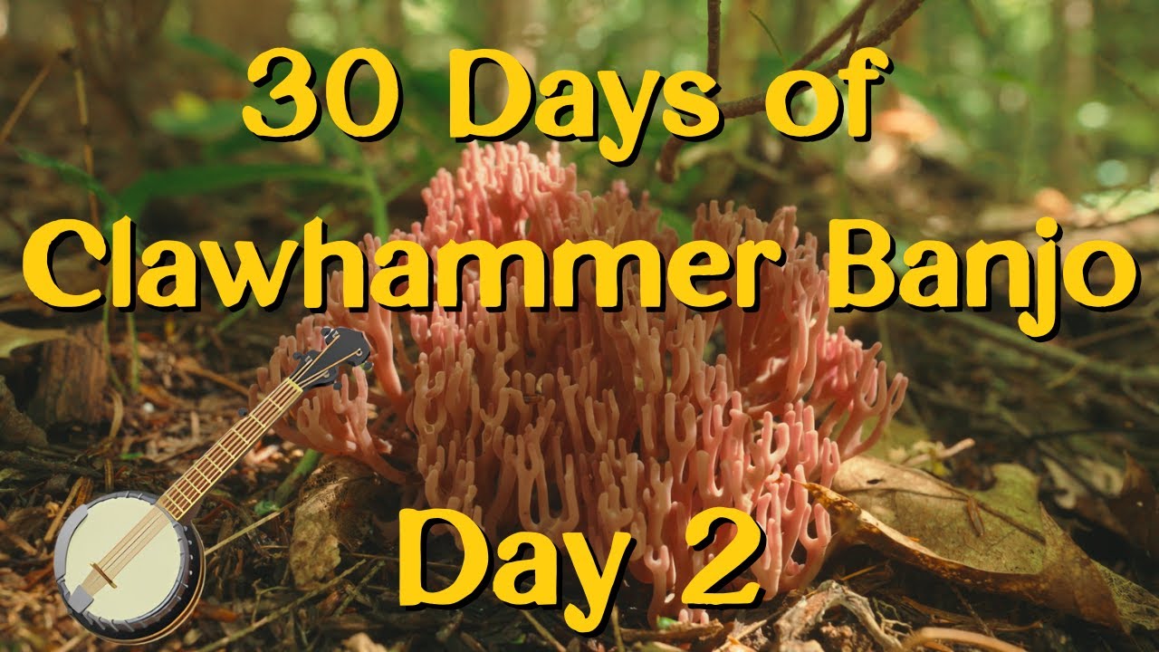 Day 2 // 30 Days of Clawhammer Banjo
