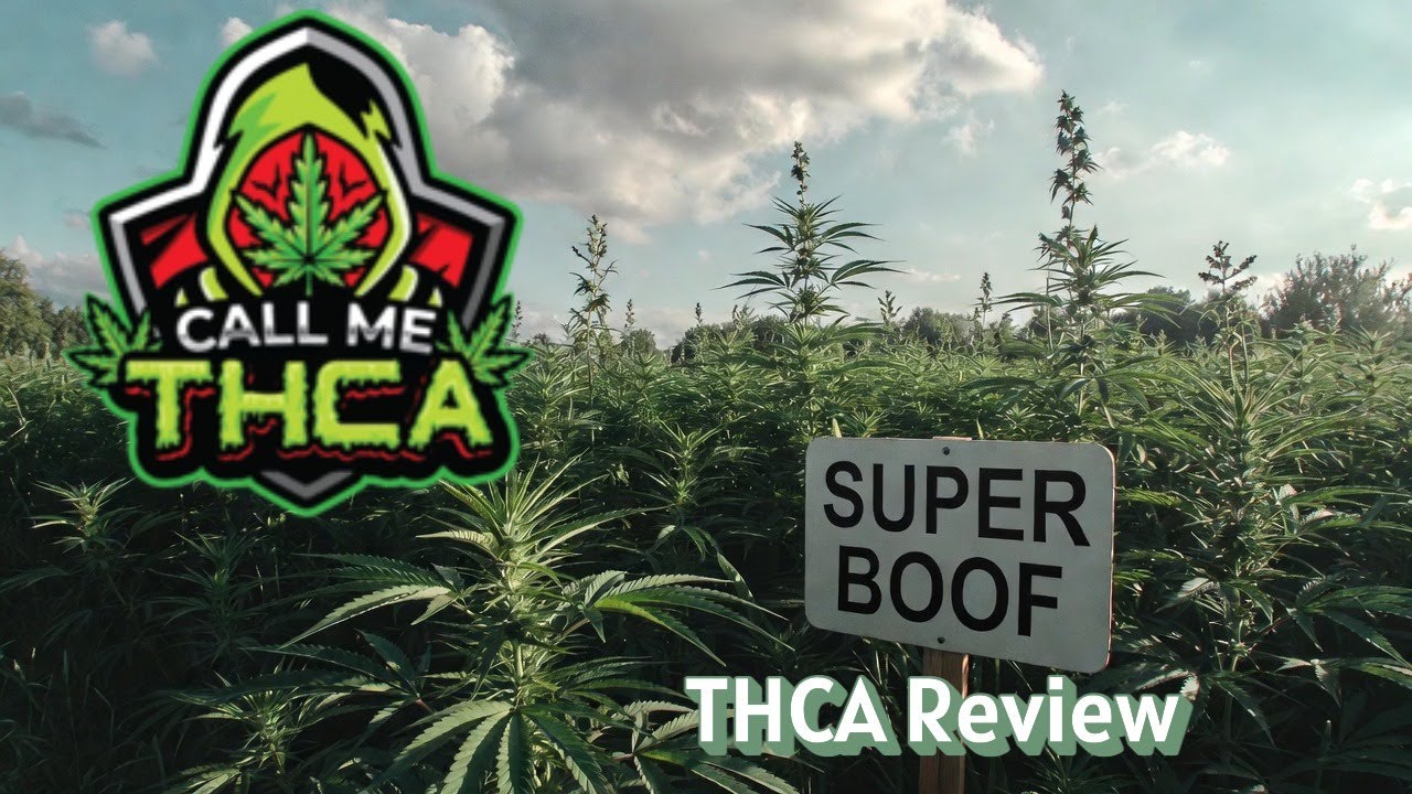 Super Boof Trim/Shake THCA Review - Call Me THCA - Budget $30 oz. - Chief Freedom's Hemp Reviews