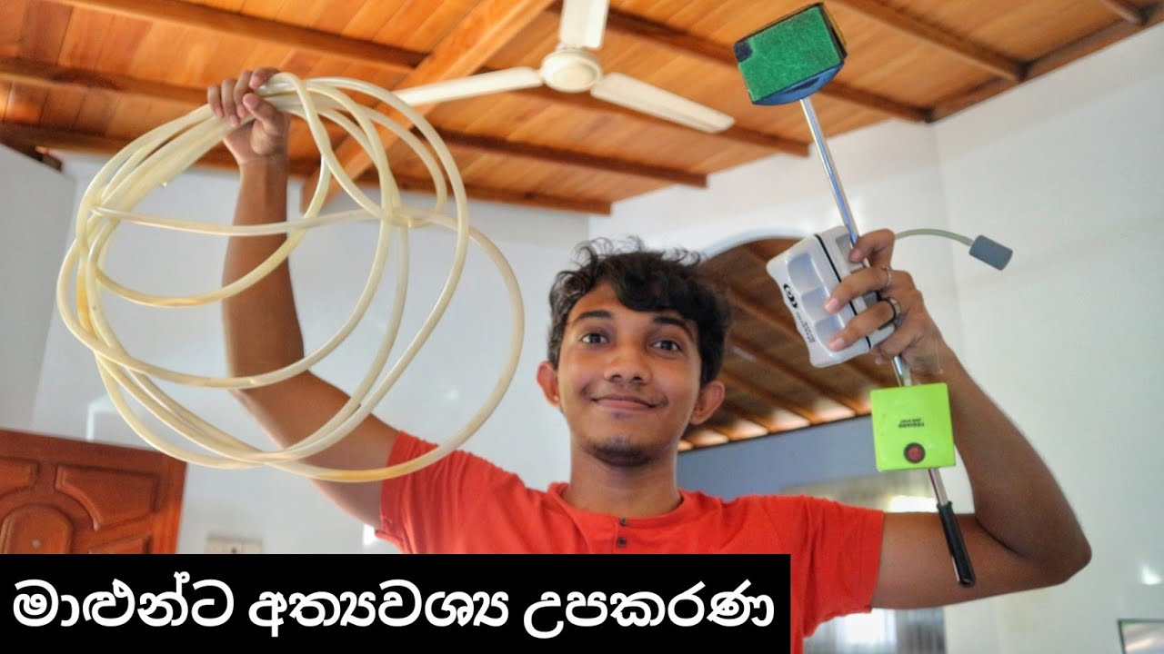 මාළු ටැංකියකට අත්‍යවශ්‍ය උපකරණ මොනවද...? | Useful Aquarium Tools