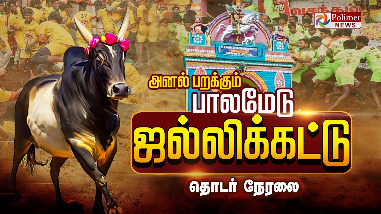 Palamedu Jallikattu - 2025 | ஜல்லிக்கட்டு களத்தில் மல்லுக்கட்டும் காளையர் | Madurai | Pongal