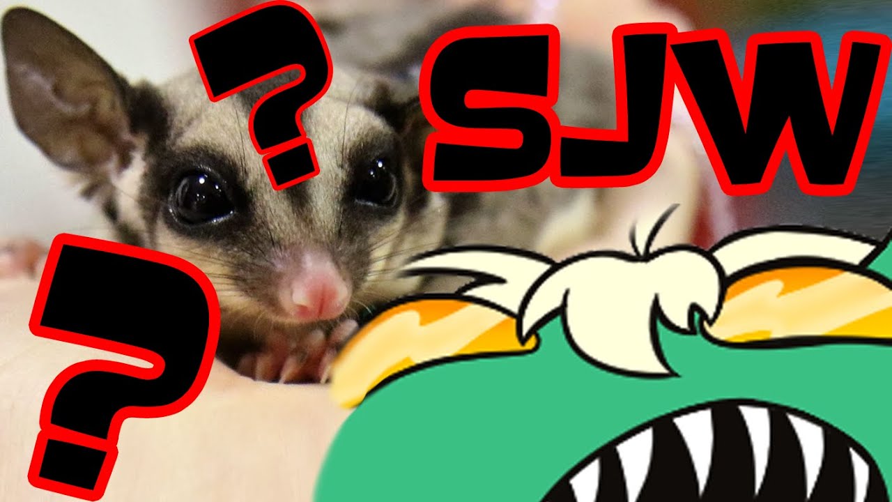 What IS an SJW?