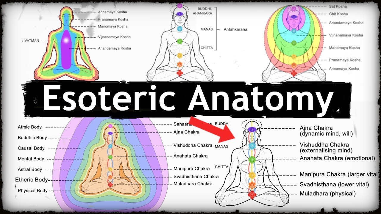 Esoteric Anatomy: The Panchakoshas and Chakras. Maps of Subtle Bodies, Mind and Consciousness