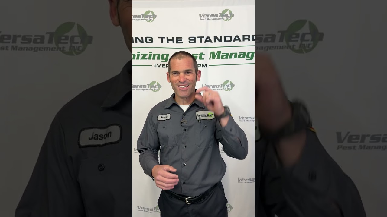 Versa-Tech PM® Commercial Services | Inside Pest Management | Los Angeles Exterminators