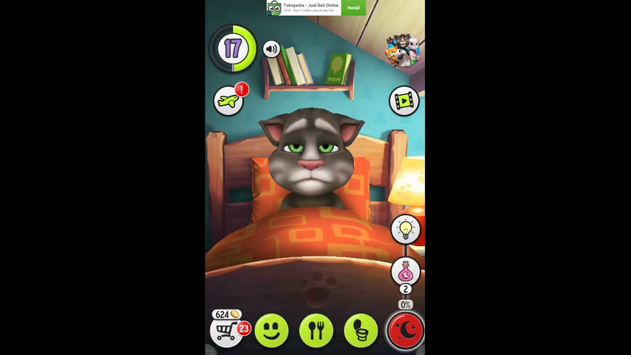 My Talking Tom Level 17