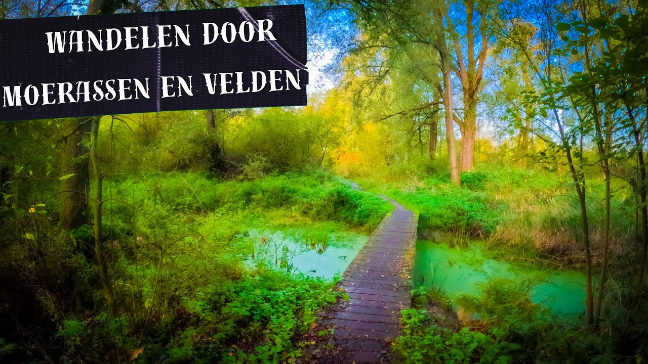 10 Het land van Kempen Broek | 11 min.