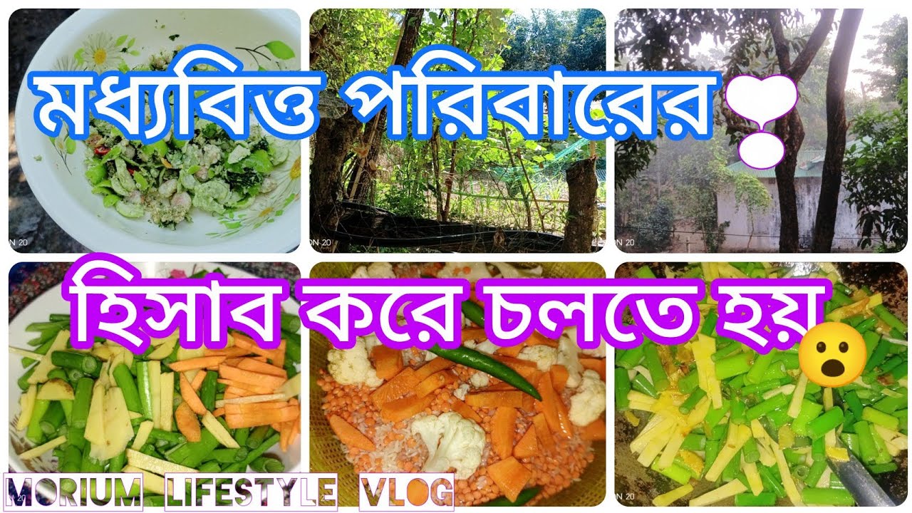 মধ্যবিত্ত পরিবারের বউদের বিলাসিতা না, বুদ্ধি আর পরিশ্রম দিয়েই সংসার চালাতে হয়।MiddleClassFamily||