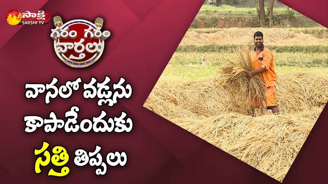 వానలో వడ్లను కాపాడేందుకు సత్తి తిప్పలు | Sathi Struggling | Garam Garam Varthalu | Sakshi TV