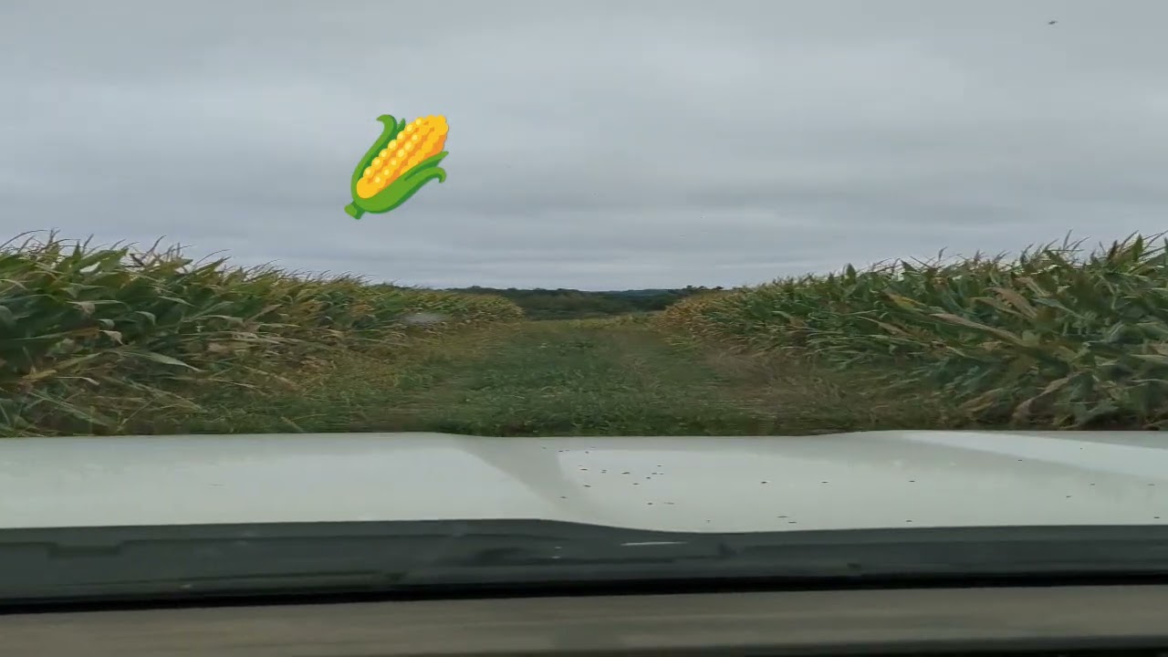rainy day in Ohio's bounty 