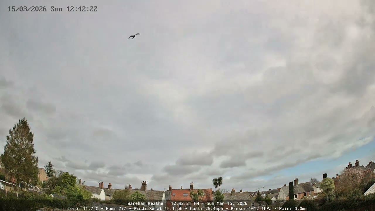 Wareham - Daily Time-lapse - 15/03/2026
