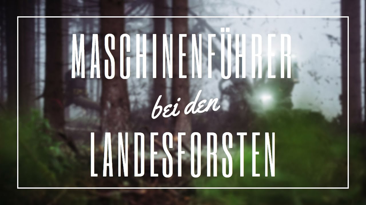 Maschinenführer bei den Landesforsten