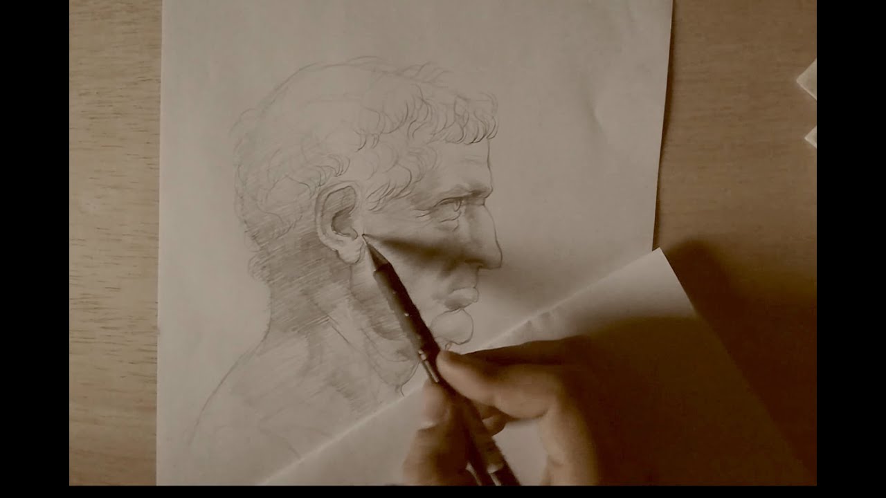 Leonardo da Vinci drawing style