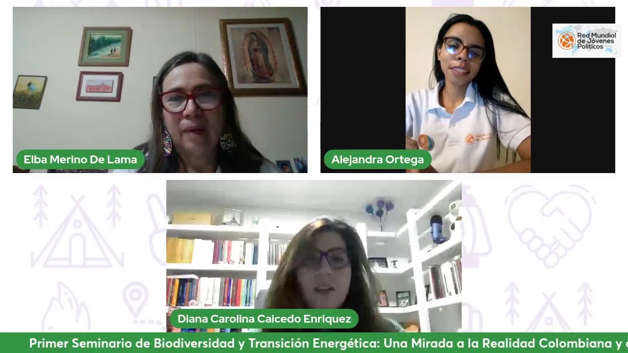 Primer Seminario de Biodiversidad y Transición Energética | Día 2