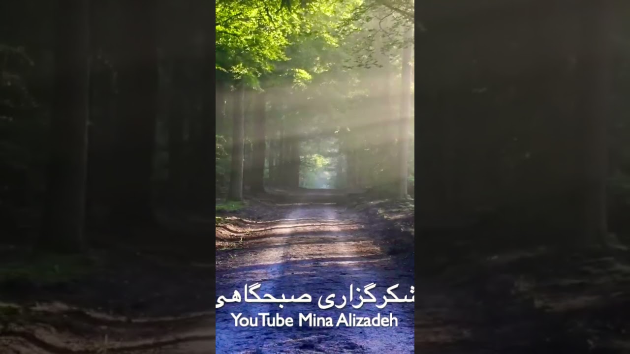 خدایا تو را سپاس میگویم!