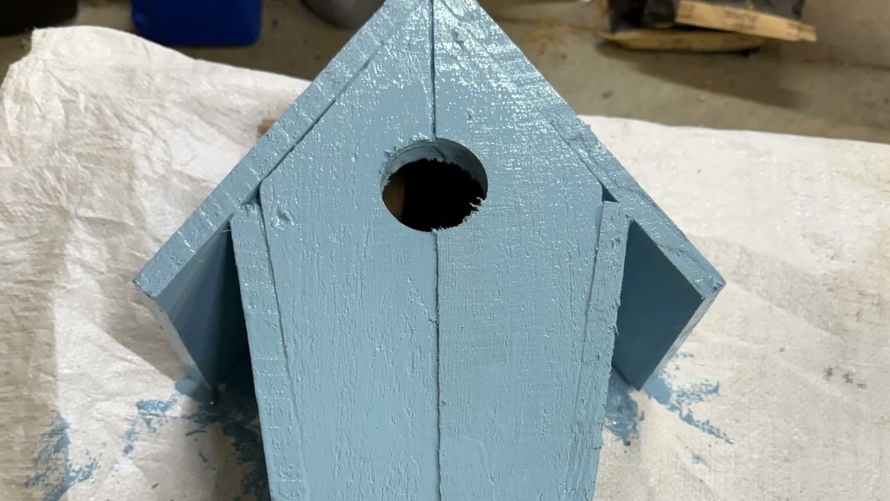 Bluebird House a Fun Winter Morning Project