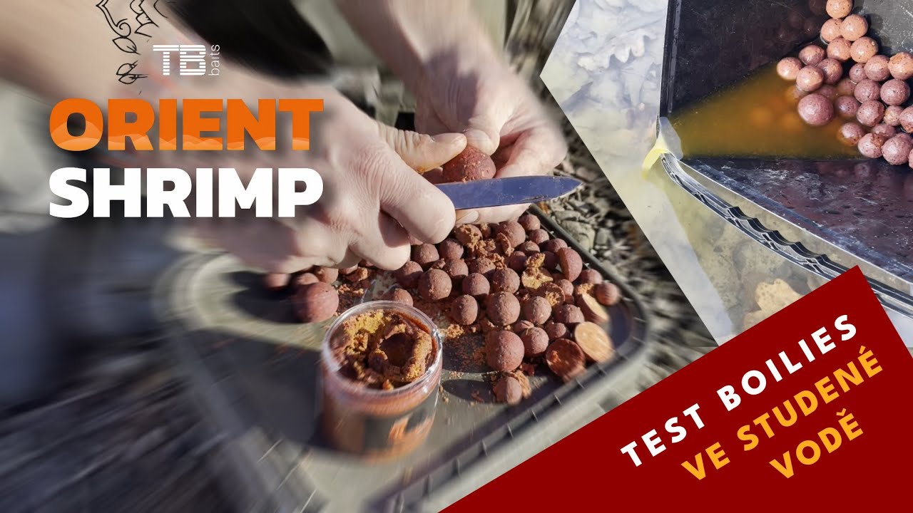 KRMENÍ POD LUPOU: Test boilies TB Baits Orient Shrimp ve studené vodě