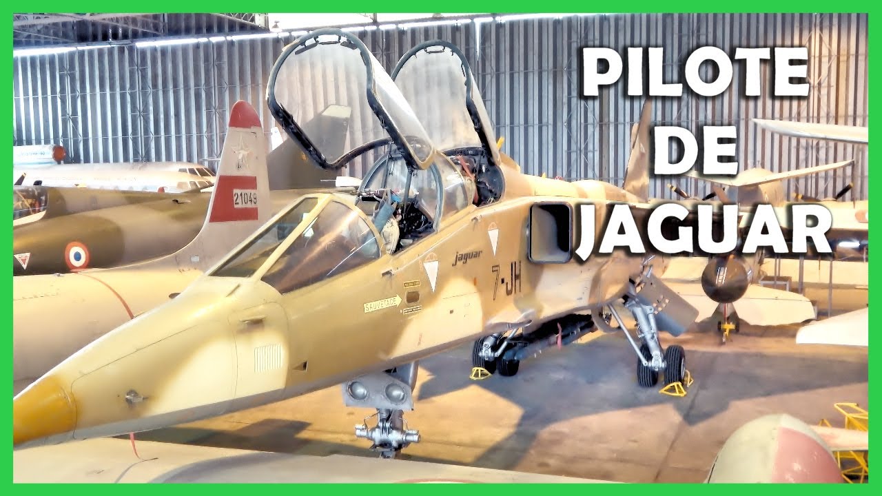 PILOTE  DE JAGUAR