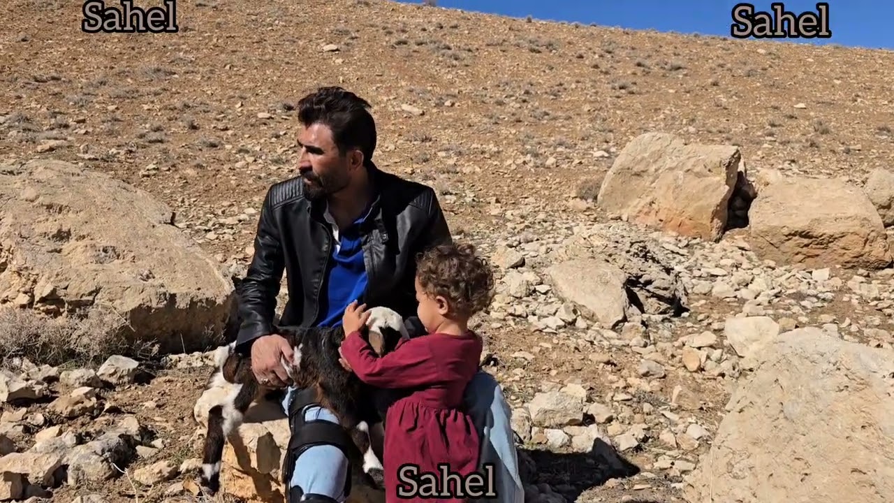 The nomadic life of engineer Babazadeh with Sahil Darghar Uden Dr. to help the sheep in the cold mou