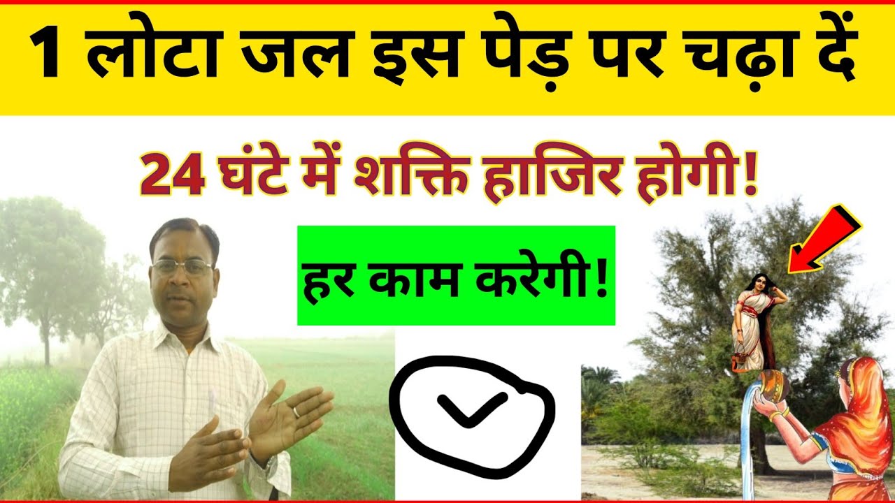 मिनटों में काम कराना है तो 1 लोटा जल इस पेड़ पर चढ़ा दें // 24 घंटे में शक्ति हाजिर होगी!