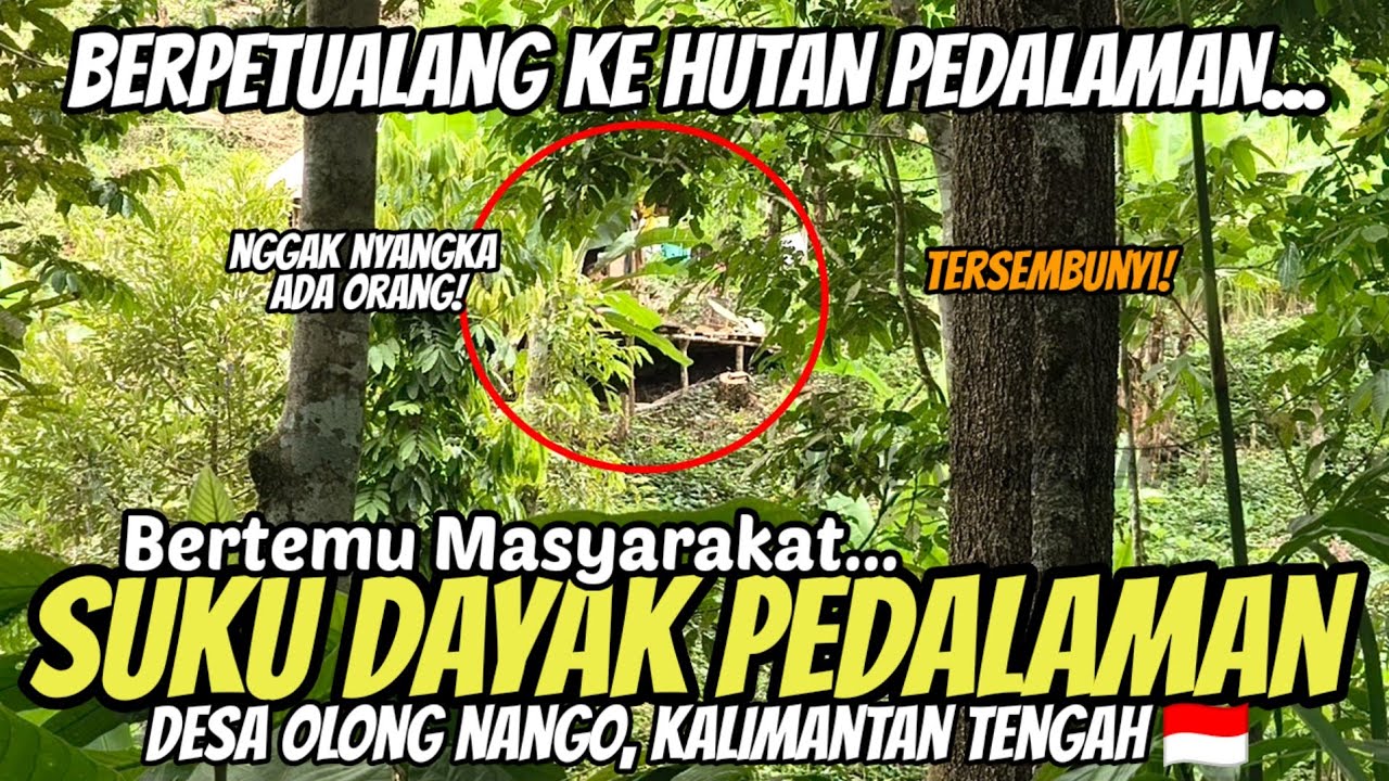 TERSEMBUNYI! BERPETUALANG KE HUTAN, BERTEMU MASYARAKAT SUKU DAYAK PEDALAMAN