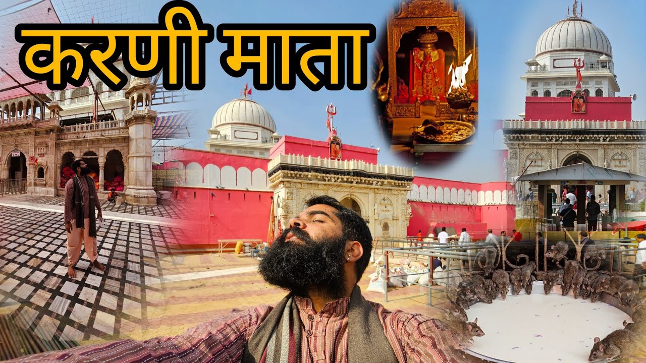 Karni Mata : Deshnok 🚩 Bikaner : चूहे करते हैं मनोकामना पूरी
