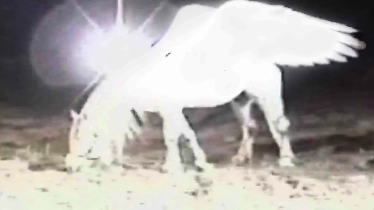 R&Oslash;Z -  C&Oacute;MO QUIERES