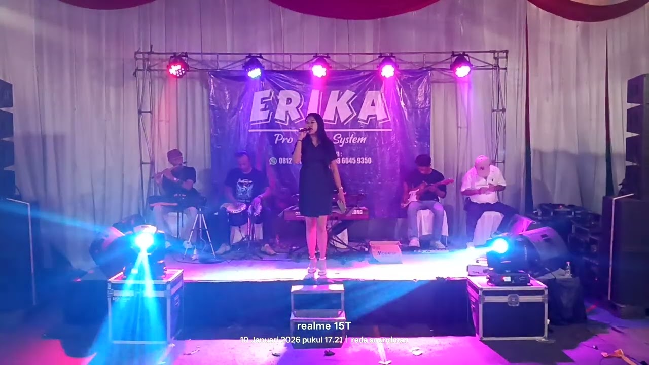 ERIKA Pro Audio System part 11