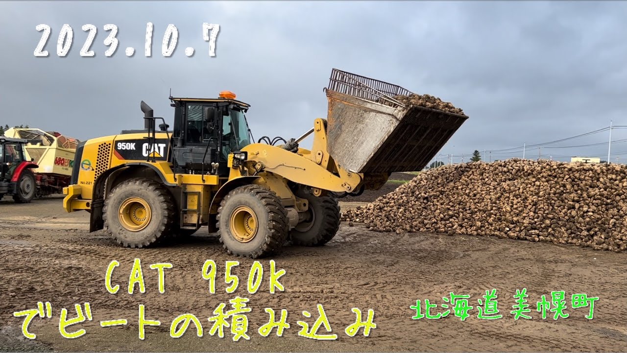 【2023.10.7】ホイールローダーCAT９５０Ｋで積み込み作業　　　ビート1回目の出荷270トン