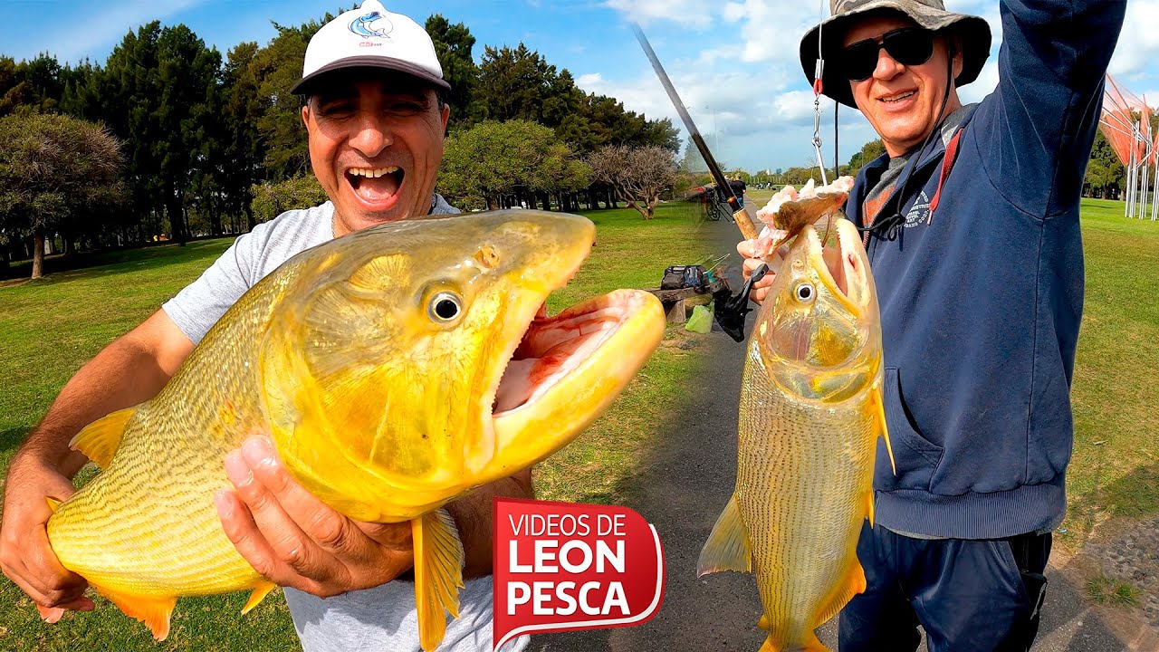 🎣 ¡PESCAMOS UN DORADO GIGANTE EN PARQUE DE LOS NIÑOS! 😱🐟