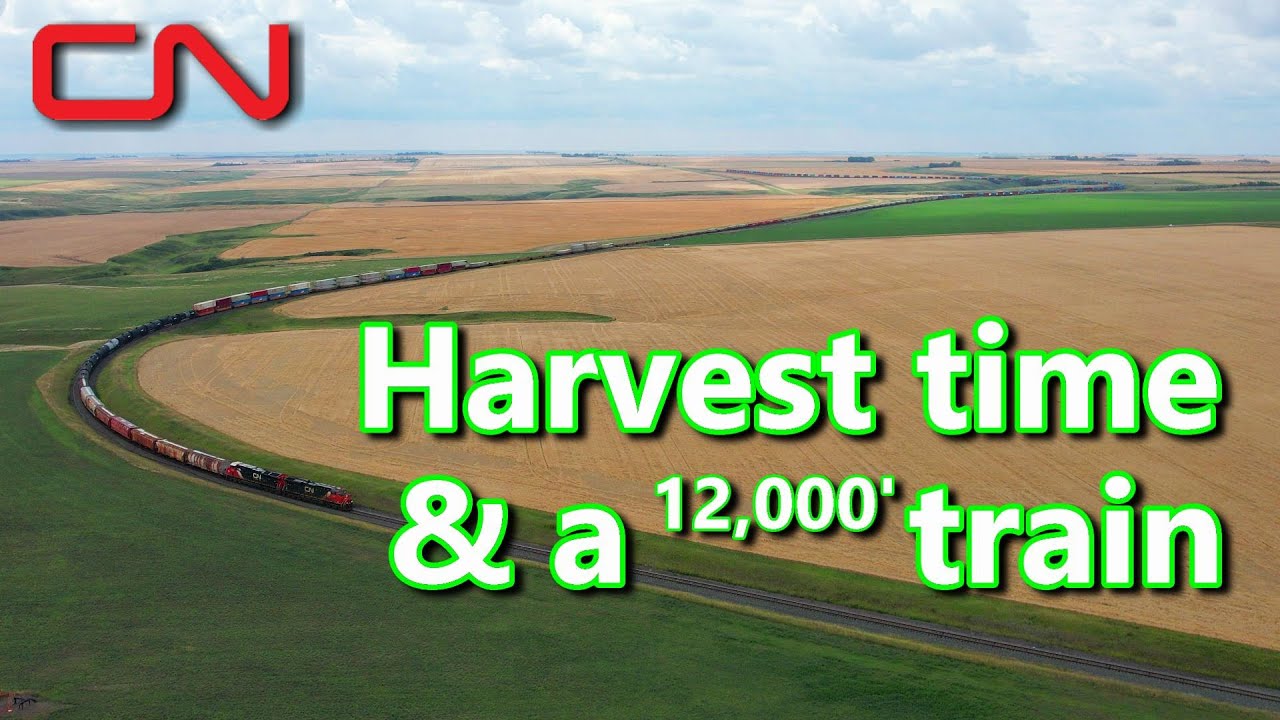 A train through the prairies at harvest time