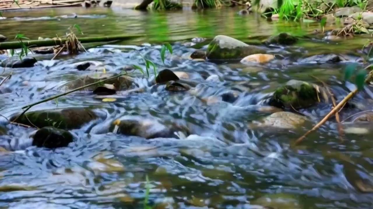 River Flowing in Hidden Forest Ambience | Relieve Stress, Anxiety & Depression, Insomnia