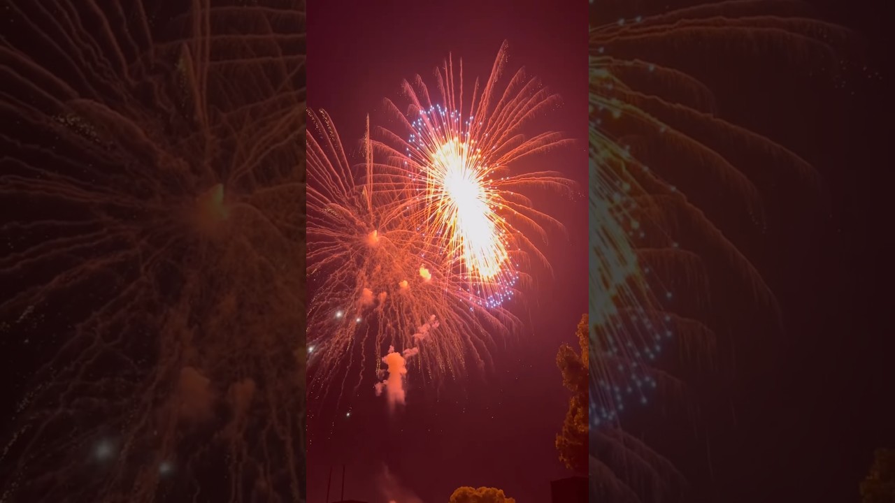 Import sky shot testing 🎇 price 😱