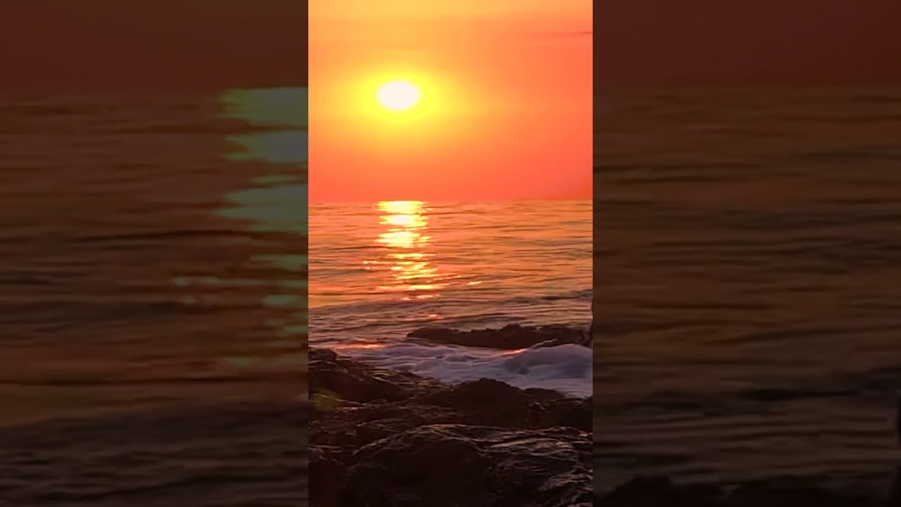 🌅🐋 새해 동해안 일출과 흰고래의 만남! (2026 대박 쇼츠)🌅🐋New Year Sunrise at East Sea with Beluga!
