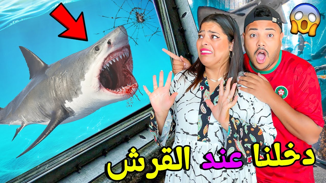 اخيرا.. دخلنا عند القرش المفترس🦈وشفنا البطاريق🐧فاكبر حوض اسماك بالامارات🇦🇪🐟