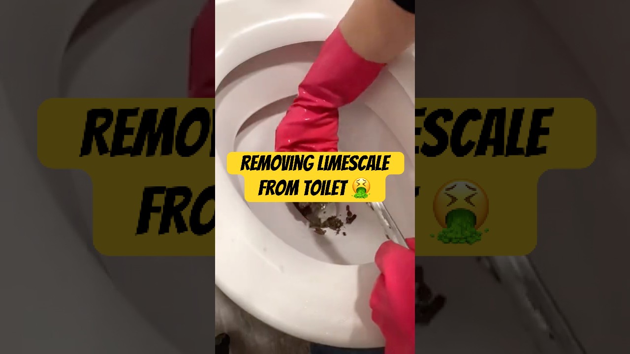 Nasty limescale removal (WARNING) 🤮🤢❌ #cleaning #tiktokviral #viralvideo #toilet