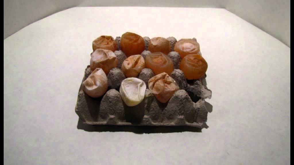 Meglepet&eacute;s