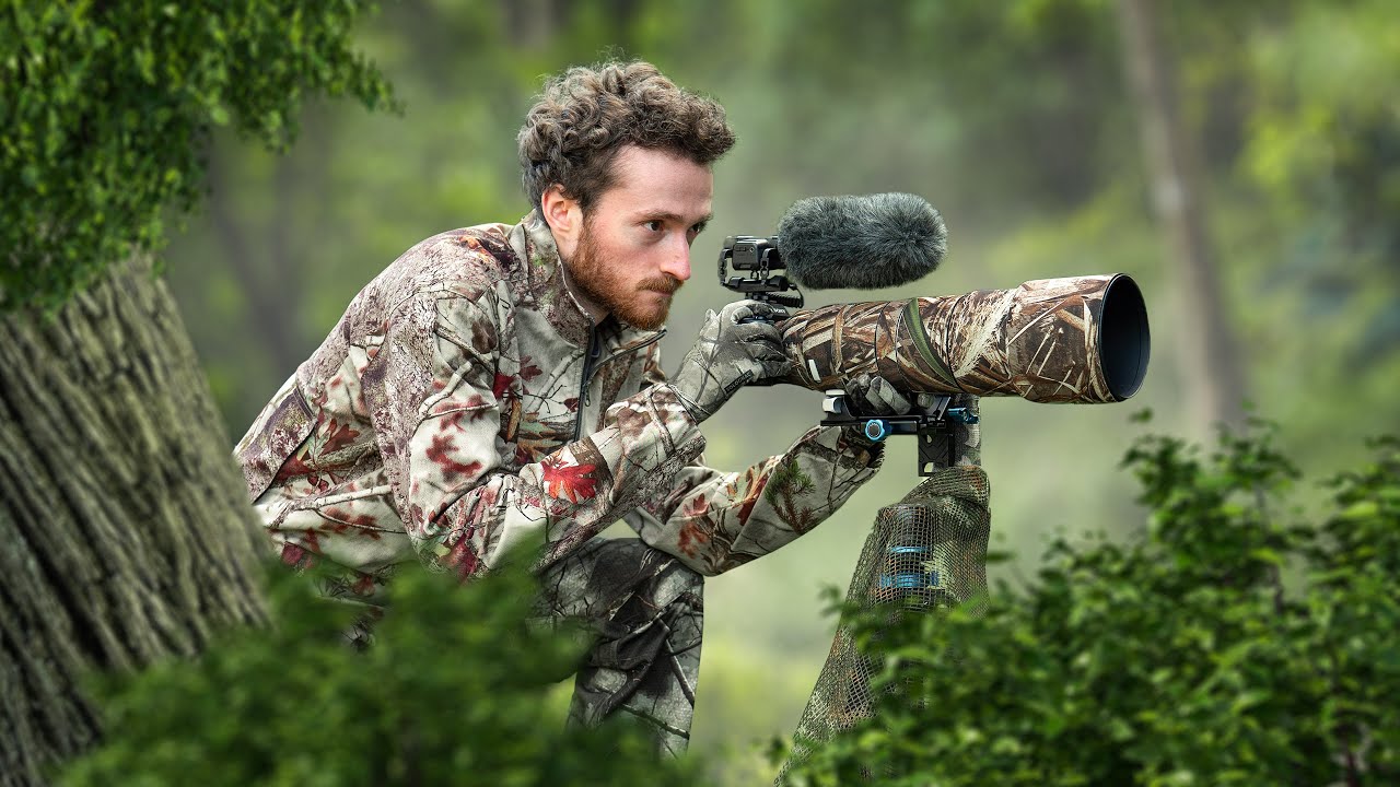 Je FILME en FORÊT le SOIR. Je ne pensais pas voir cet animal !