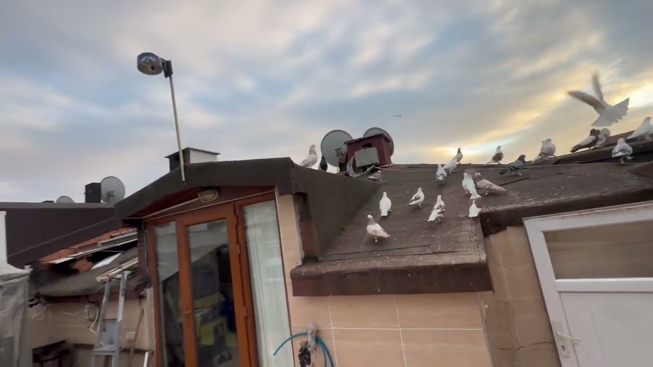 BUGÜNDE MARDİN VİDEOSU OLSUN