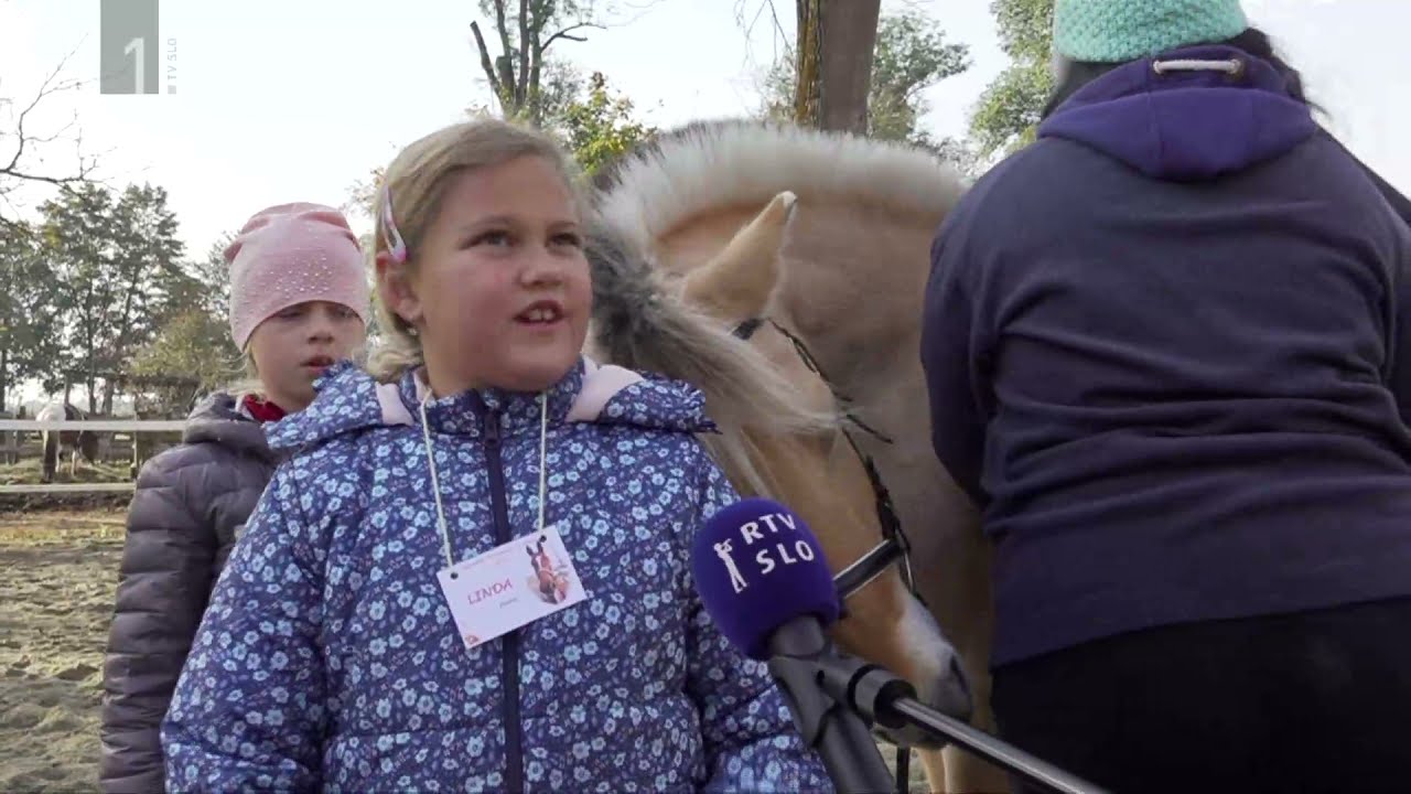 Infodrom: Krompirjeve počitnice